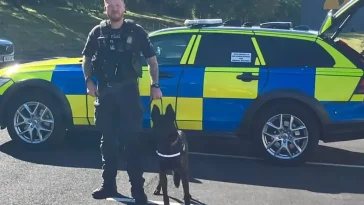Brittisk polis har börjat sätta kroppskameror på sina hundar – här är anledningen