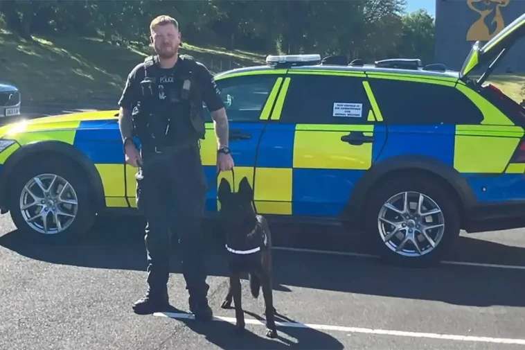 Brittisk polis har börjat sätta kroppskameror på sina hundar – här är anledningen