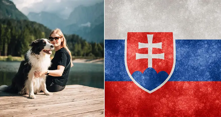 Här finns flest hundar per invånare i Europa