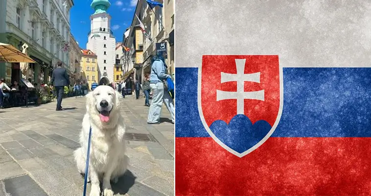 Här finns flest hundar per invånare i Europa