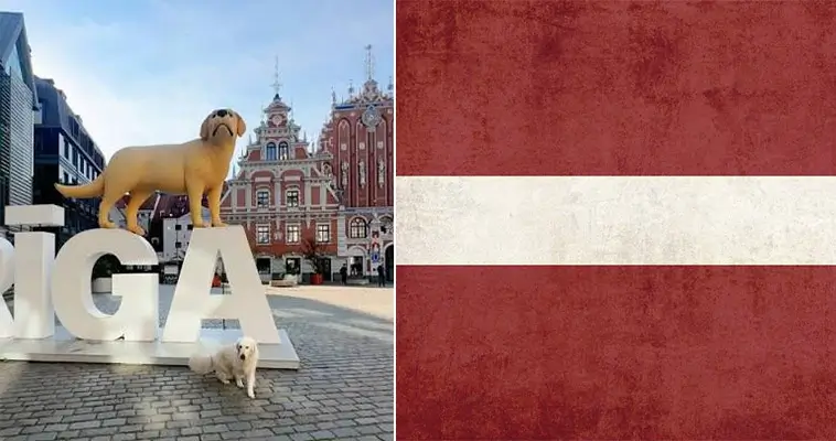 Här finns flest hundar per invånare i Europa