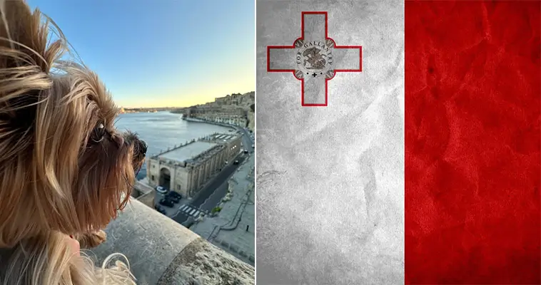 Här finns flest hundar per invånare i Europa