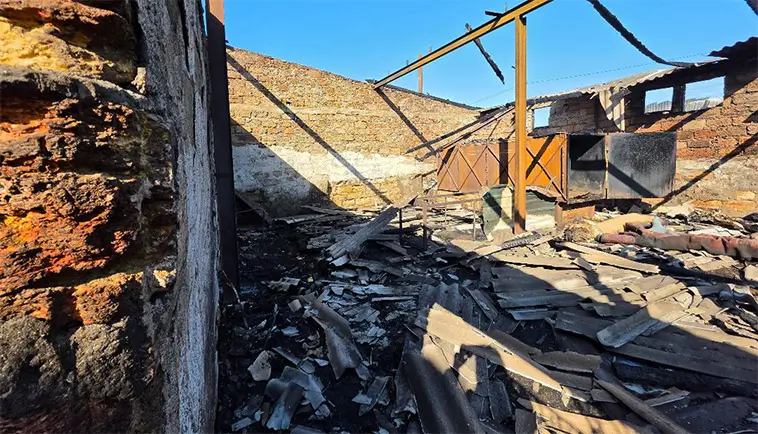 Hundhem skadades vid rysk attack mot Odesa