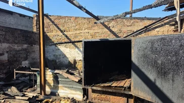 Hundhem skadades vid rysk attack mot Odesa