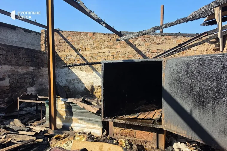 Hundhem skadades vid rysk attack mot Odesa