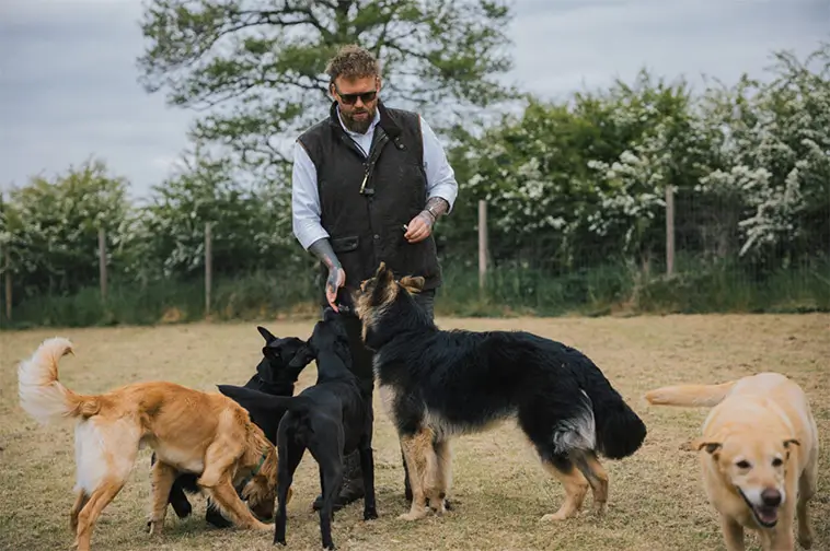 Hundtränaren varnar för populära hundtypen: ”För mycket energi”