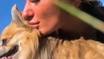 Månadens vovve: Chihuahuan Miklo reste genom Europa