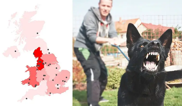 Storbritannien tar nya grepp mot hundattacker