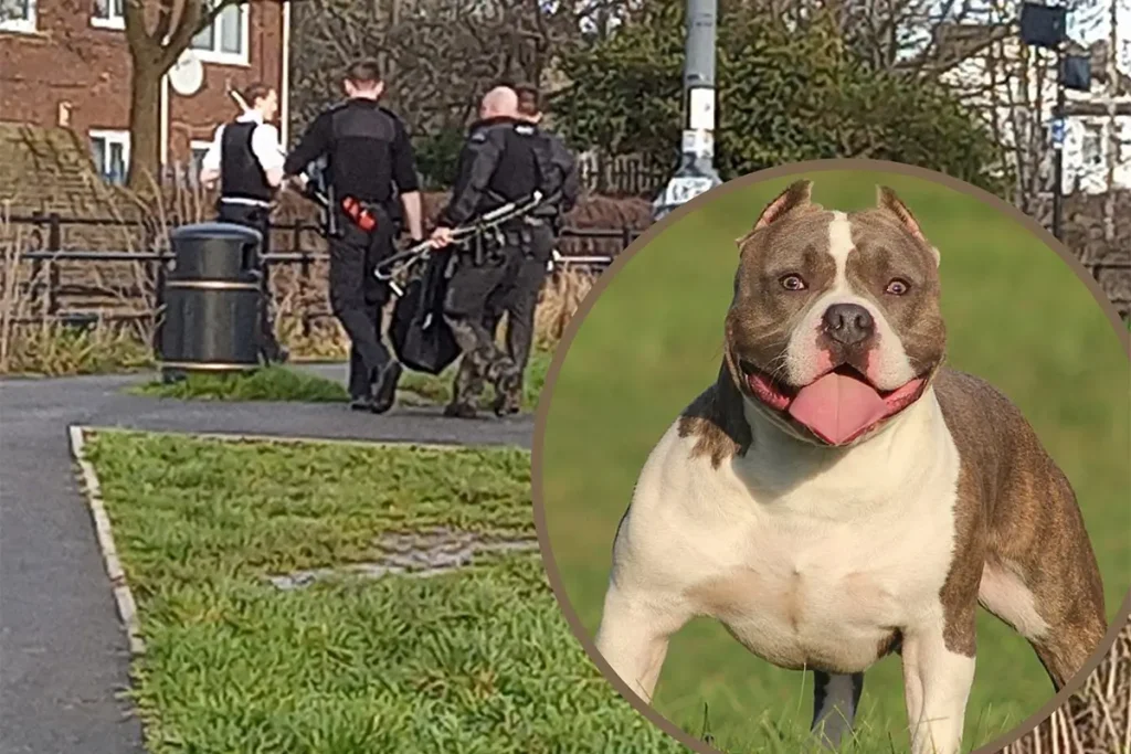 Storbritannien tar nya grepp mot hundattacker