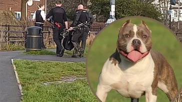 Storbritannien tar nya grepp mot hundattacker
