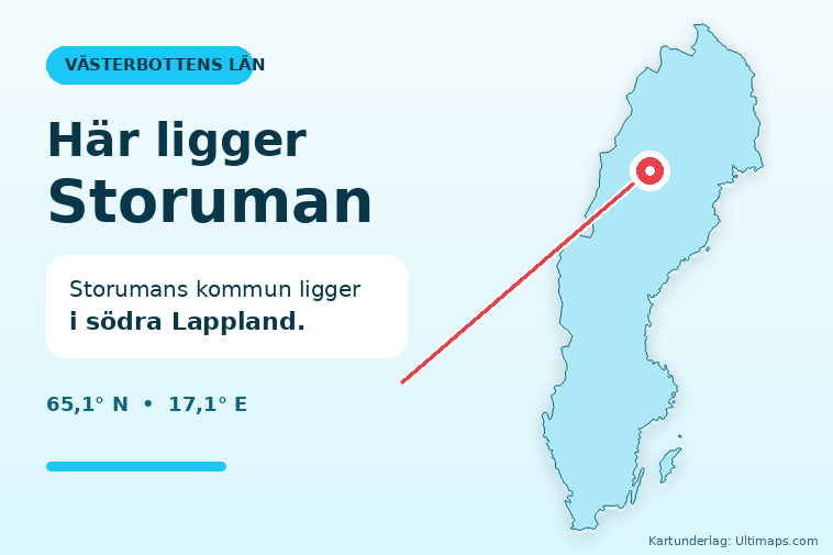 Jakthund sköts ihjäl under älgjakt i Storuman
