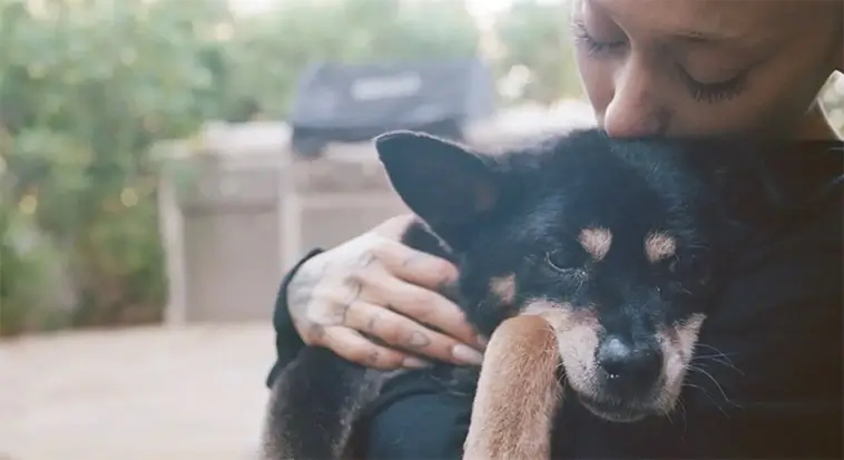 Ariana Grande tar farväl av hunden Coco: ”Kommer sakna dig varje dag”