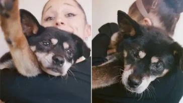 Ariana Grande tar farväl av hunden Coco: ”Kommer sakna dig varje dag”