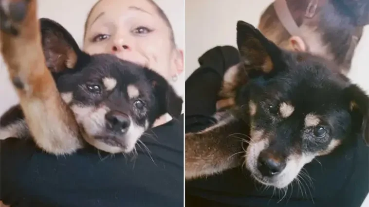Ariana Grande tar farväl av hunden Coco: ”Kommer sakna dig varje dag”
