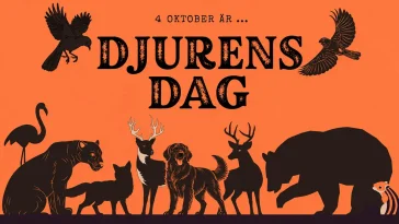 I dag är det Djurens dag – därför firar vi den