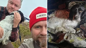 Glädjebeskedet: Era hittad efter två veckor i fjällen