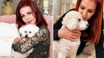 Från gatan till ett nytt hem hos Priscilla Presley. Foto: Instagram (@priscillapresley).