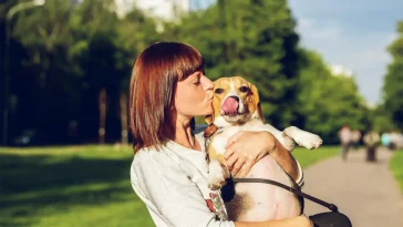 Djurorganisationer varnar: Hundägandet håller på att bli en lyx