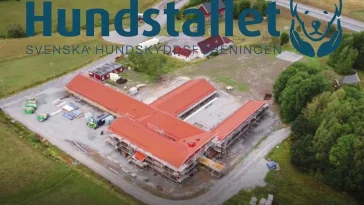 Rekord hos Hundstallet – fler hundar kommer i dåligt skick