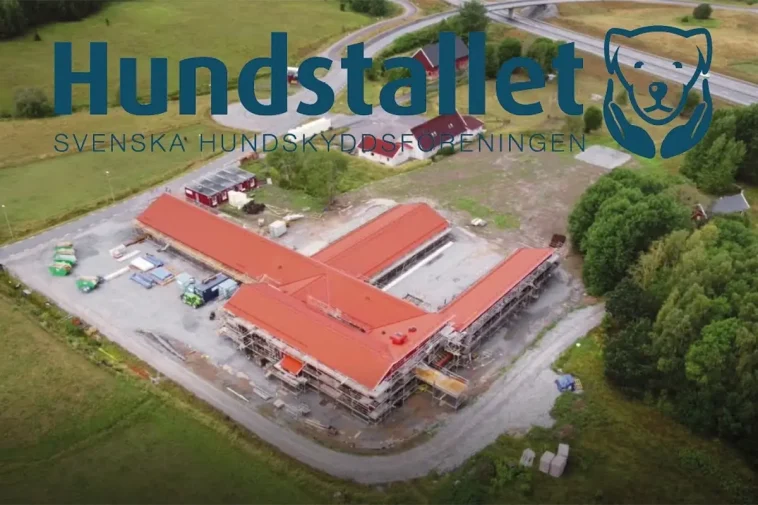Rekord hos Hundstallet – fler hundar kommer i dåligt skick