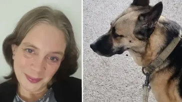 Katt angrep Angelicas Schäfer – båda fick rivsår