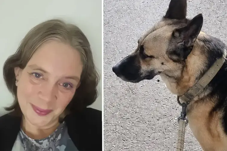 Katt angrep Angelicas Schäfer – båda fick rivsår
