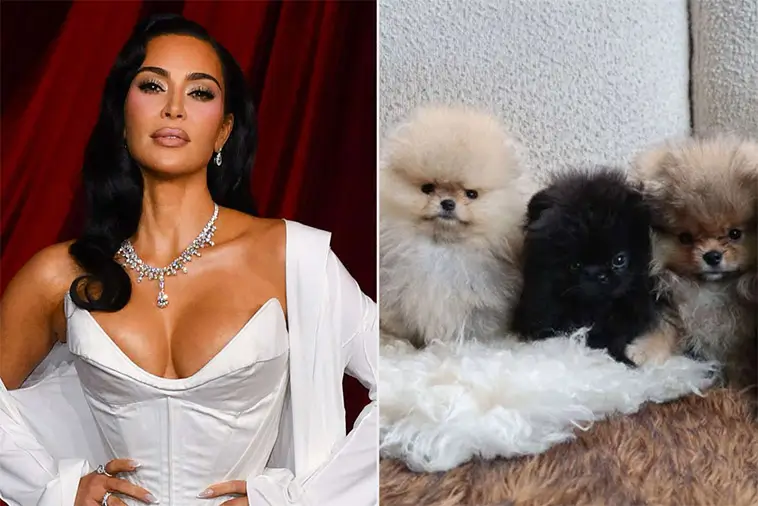 Kim Kardashian kritiserades – nu får barnen ännu en hundvalp