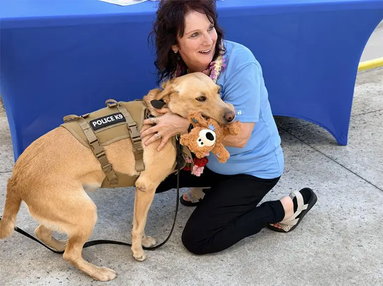 Svenska Labradoren Trina hittade försvunnen man på Hawaii
