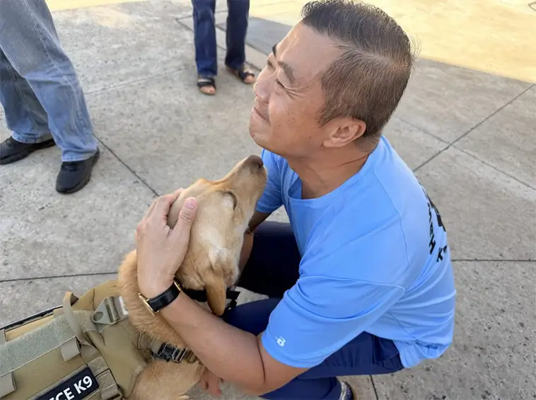 Svenska Labradoren Trina hittade försvunnen man på Hawaii
