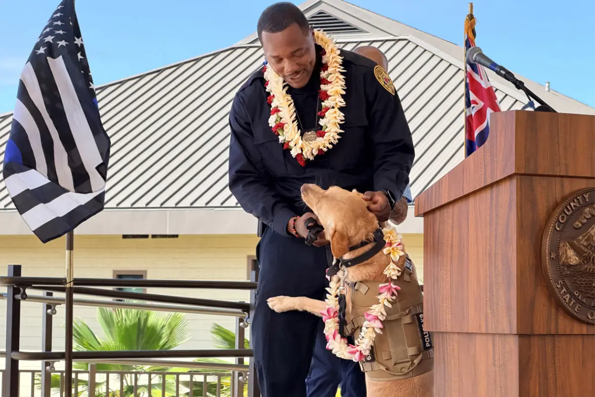 Svenska Labradoren Trina hittade försvunnen man på Hawaii