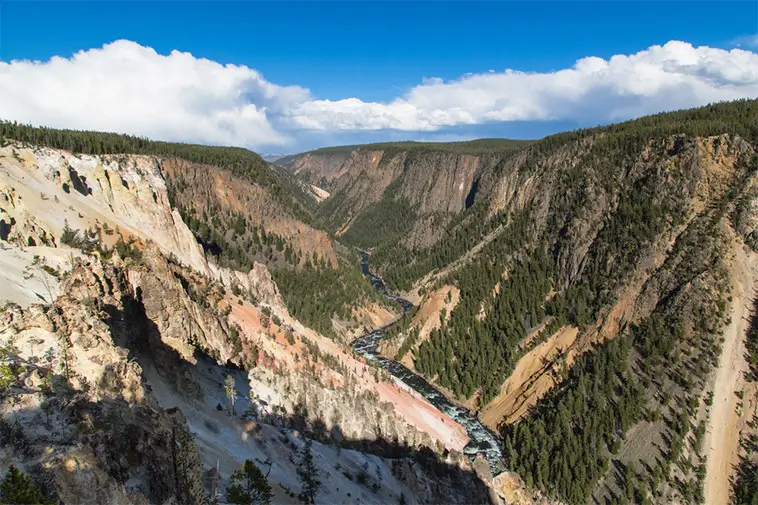 Luna återförenad med familjen efter 34 dygn i Yellowstone