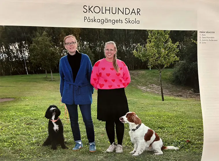 När skolan känns svår finns hundarna Luna och Asta där