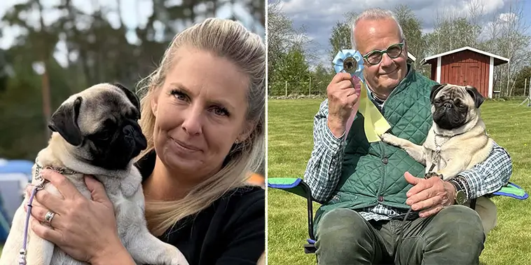 MopsOrden vill skärpa kraven: inga titlar utan test