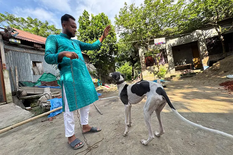 Sällsynt hundras i Bangladesh riskerar att försvinna helt