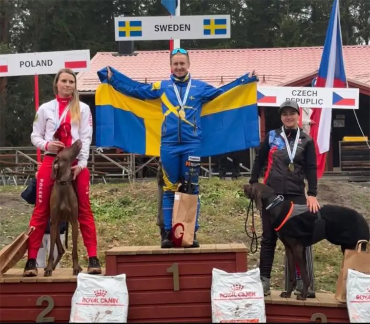 Svenska guldjublet på draghunds-EM i Gävle