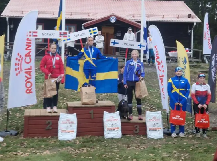 Svenska guldjublet på draghunds-EM i Gävle