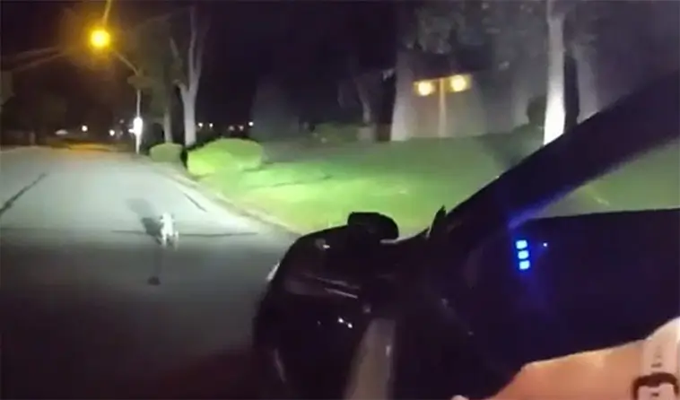 Hunden ledde polisen hem – ägaren låg hjälplös på golvet