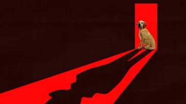 Hunden får inte följa med – skyddsrumsråd väcker oro