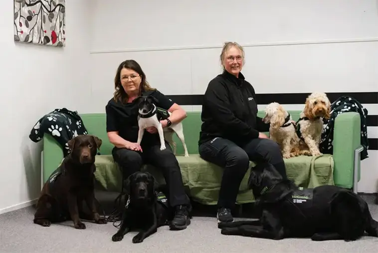 Hundteam ska hjälpa forskare förstå stödet till unga