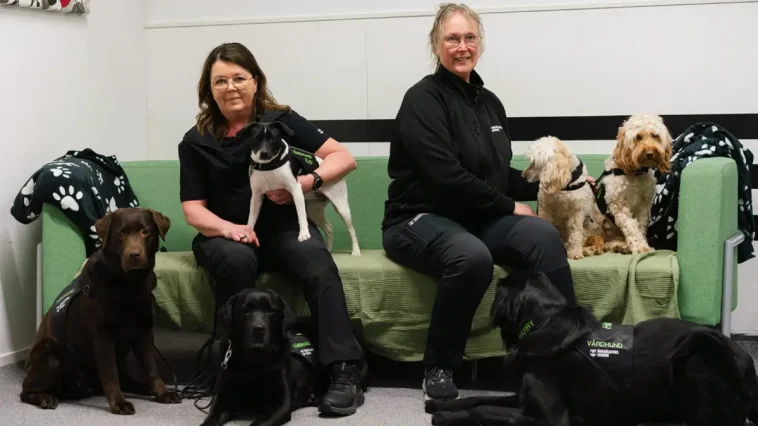 Hundteam ska hjälpa forskare förstå stödet till unga