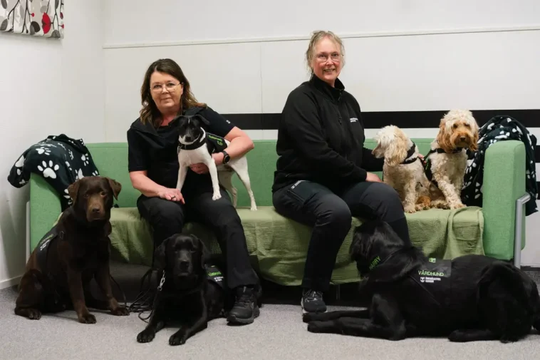 Hundteam ska hjälpa forskare förstå stödet till unga