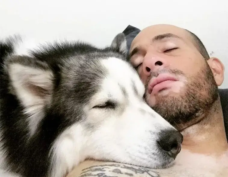 Hunden får skulden för dålig sömn – kanske är det du