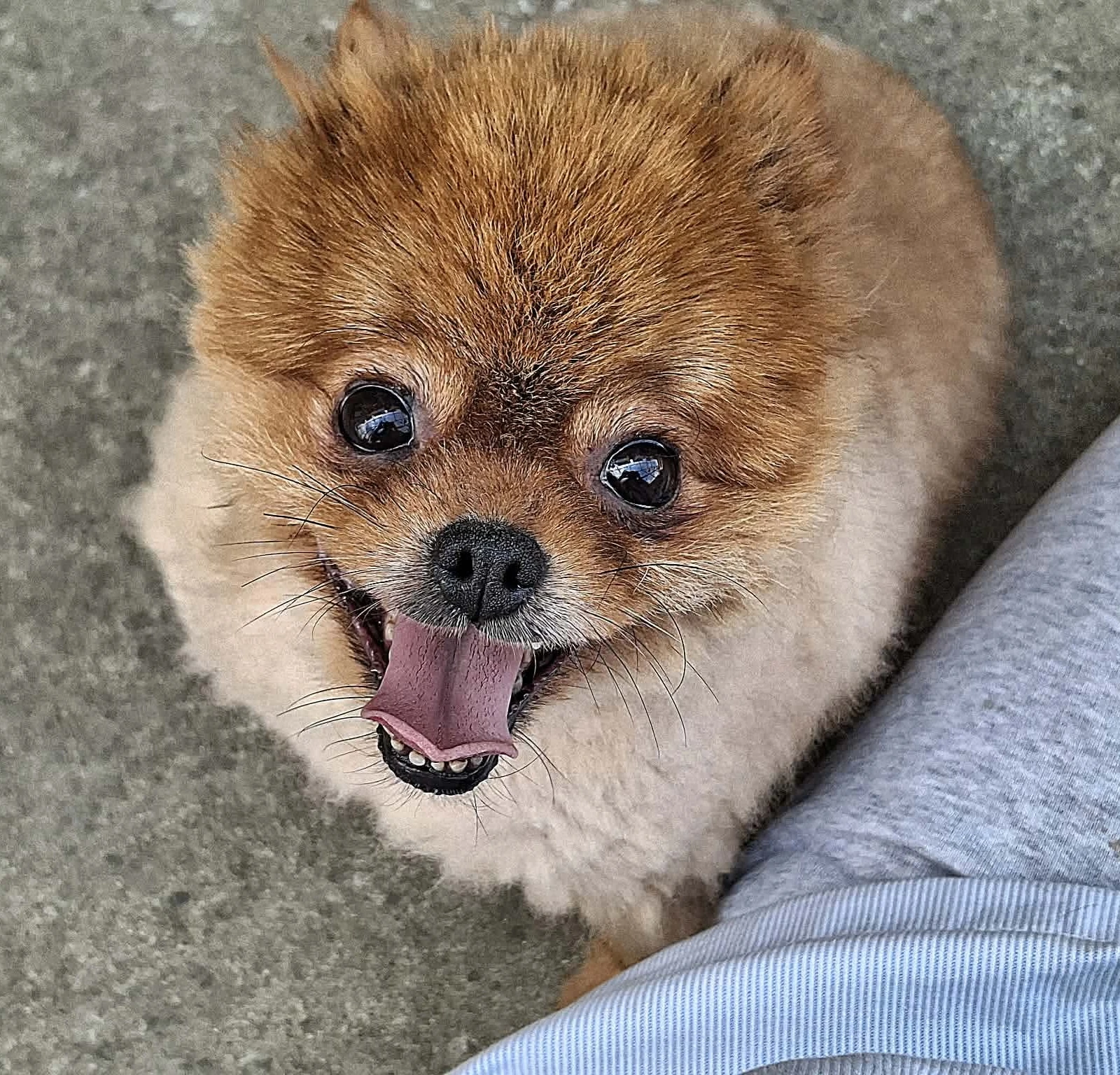 Molly